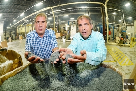 Recyc RPM évite la faillite | Gilbert Leduc | Actualité économique | Gouvernance - Veille quotidienne | Scoop.it