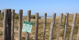 Cet été, prenons soin des dunes littorales | Environnement - Développement durable - Climat | Scoop.it