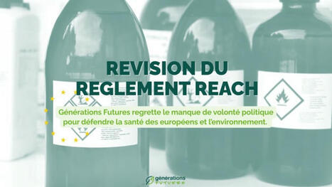 La révision nécessaire du règlement REACH sur les produits chimiques encore retardée | Green Deal Industrie Rev3 | Scoop.it