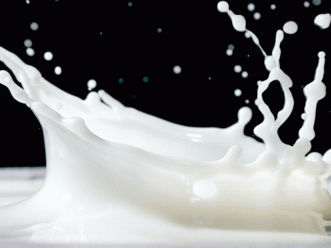 La plus grande laiterie slovène double son bénéfice à 6,11 millions d'euros | Lait de Normandie... et d'ailleurs | Scoop.it