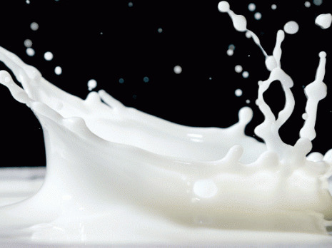 Lait : Le prix reste stable en Europe | Lait de Normandie... et d'ailleurs | Scoop.it