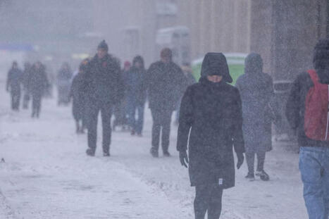 Foreca: "Hälyttävä romahdus" | 1Uutiset - Lukemisen tähden | Scoop.it
