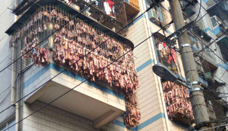 Chinese Apartment Owner Covers All of His Windows With Dangling Bacon Strips | News-from-China | Scoop.it