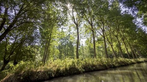 Le label du parc régional du marais poitevin menacé | Biodiversité | Scoop.it