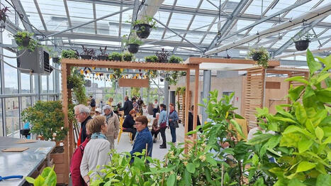 Boire un caf&eacute; et acheter des plantes sur un toit, c&rsquo;est possible dans cette serre hybride &agrave; Angers&nbsp;- Ouest France [Abonn&eacute;s] | Pour innover en agriculture | Scoop.it