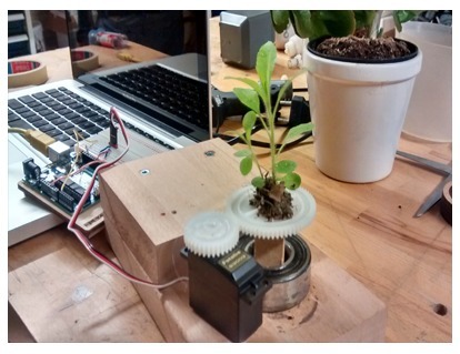 Hazte un selfie con esta planta controlada con Arduino | tecno4 | Scoop.it