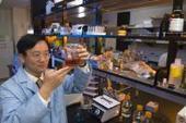 Breakthrough in hydrogen fuel production could revolutionize alternative energy market | Cool Future Technologies | Scoop.it