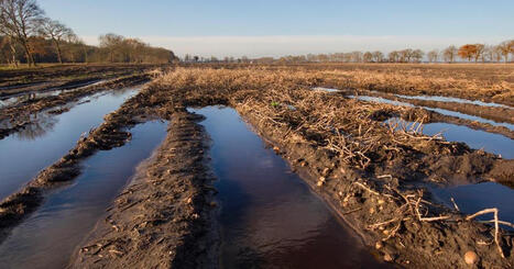 CLIMATE: Volatile climate threatening food supply chains | DURABILITES | Scoop.it