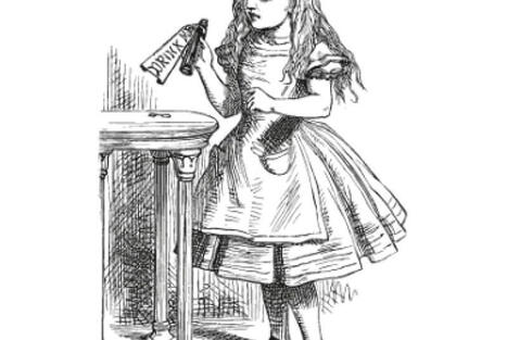 St&eacute;phane Magarelli etJean-Baptiste Grongnard (dessins) : Ivresse au miroir d&rsquo;Alice. Essai de philosophie merveilleuse | Les Livres de Philosophie | Scoop.it