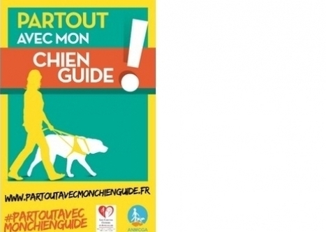 Chiens guides: cessons d’être aveugles | 16s3d: Bestioles, opinions & pétitions | Scoop.it