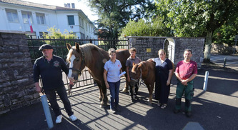 Dax : des chevaux et des revendications devant la sous-préfecture | Actus du jour -   29 septembre 2023 | Scoop.it