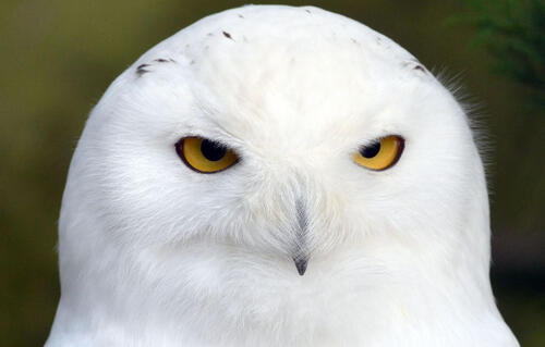 Sorry! Image not available at this time