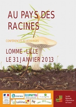 Au pays des racines, conférences et échanges à Lomme, le 31 janvier 2013 | Variétés entomologiques | Scoop.it