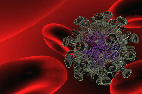 Novel Dual CAR T Cell immunotherapy Holds Promise for Targeting The HIV Reservoir – PR News | Genetic Engineering Publications - GEG Tech top picks | Scoop.it
