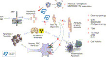 MRZ-99030 - A novel modulator of Aβ ...