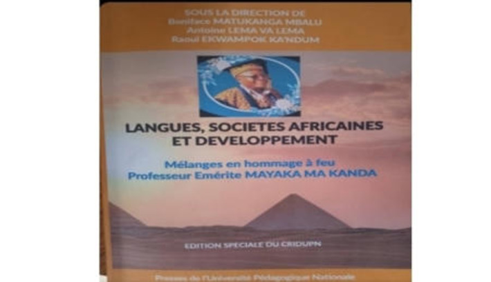 La valorisation des langues africaines au c&oelig;ur des enjeux de d&eacute;veloppement | The World of Indigenous Languages | Scoop.it