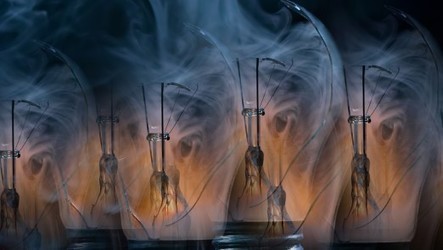 Machtkämpfe und Angst: Woran Innovationen am häufigsten scheitern | Technologien – Trends | Scoop.it