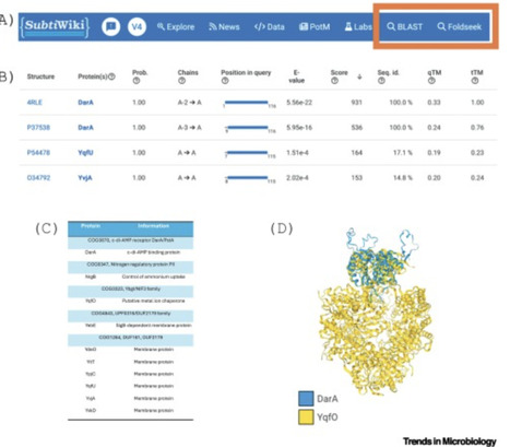 Cutting-edge tools for structural biology: bringing AlphaFold to the people | TiM | RMH | Scoop.it