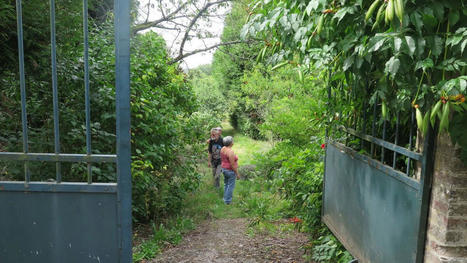 Lucienne, décédée à 100 ans, a légué son jardin pour en faire un sanctuaire de biodiversité | Environnement, paysage et biodiversité | Scoop.it