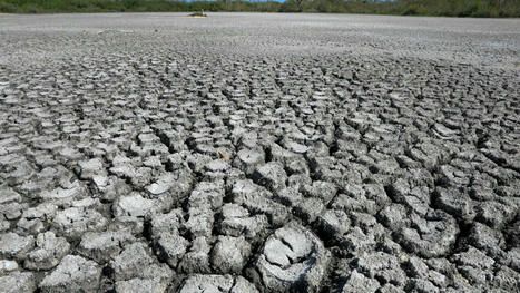 Earth's continents are drying out at unprecedented rate, satellite data reveal - Space.com | Operation Deimos | Scoop.it