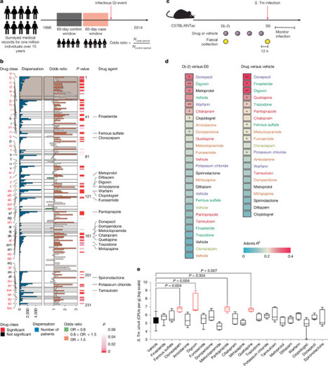 Identification of medication–microbiome interactions that affect gut infection | nat | RMH | Scoop.it