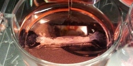 Le premier sandwich &agrave; la viande artificielle bient&ocirc;t au point | La Gazette des abattoirs | Scoop.it