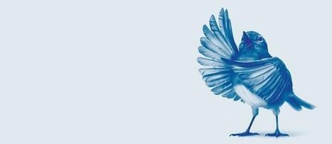 Comparer Twitter à Facebook, Instagram et consorts n'a pas de sens | SoShake | Scoop.it