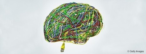 Pourquoi les neurosciences vont-elles r&eacute;volutionner votre fa&ccedil;on de manager ? | Tertiaire &agrave; forte valeur ajout&eacute;e | Scoop.it