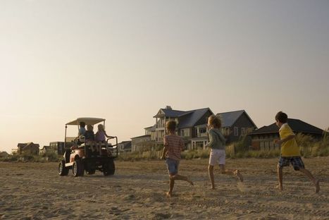 Getting to go to the beach is a special kind of privilege when you... | Sandy Beach Ecology & Management | Scoop.it