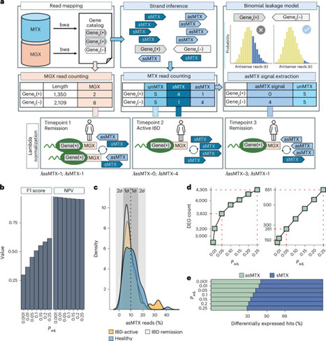 Antisense transcription reveals disease-associated adaptations in the human gut microbiome | Nmb | RMH | Scoop.it