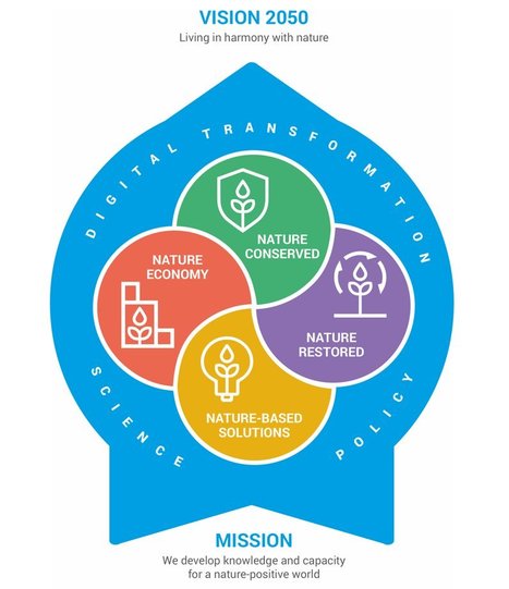 The UN Environment Programme World Conservation Monitoring Centre unveils new strategy for 2022-25 | Biodiversit&eacute; | Scoop.it