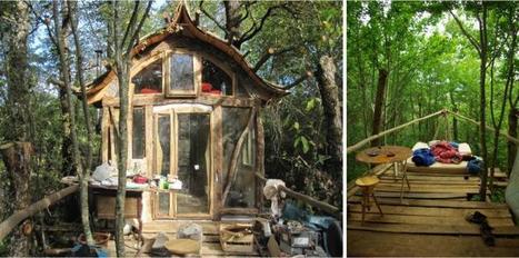 [Vidéo] Visite d'une petite maison auto-construite dans les bois | Build Green, pour un habitat écologique | Scoop.it
