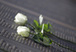 Titanic's dead mourned 100 years later in poignant ceremony at sinking site | CLOVER ENTERPRISES ''THE ENTERTAINMENT OF CHOICE'' | Scoop.it