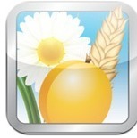 AllergiK : application mobile sur les allergies croisées | Buzz e-sante | Scoop.it