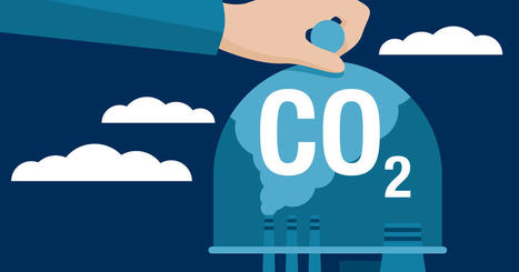 Captage, stockage et réutilisation du CO2 : des solutions séduisantes, mais encore très chères - Actu-environnement | Pour innover en agriculture | Scoop.it