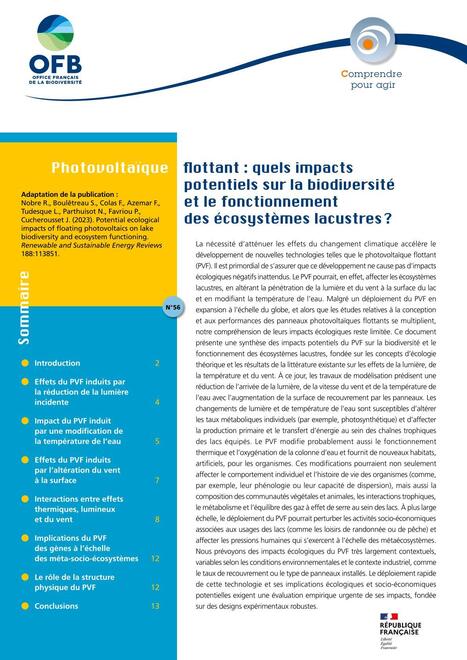 Photovoltaïque flottant : quels impacts potentiels sur la biodiversité et le fonctionnement des écosystèmes lacustres ? | Biodiversité | Scoop.it