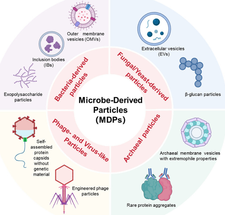 Engineering Microbial Particles for Next-Genera...