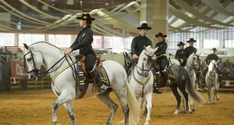CONCAB Granada, remonta la crisis con 25.000 visitas - GranadaDigital | Caballo, Caballos | Scoop.it
