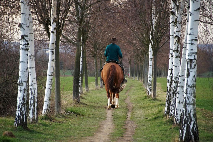 Tourisme équestre : comment GeoCheval montre la voie | Thématique Itinérance douce | Scoop.it
