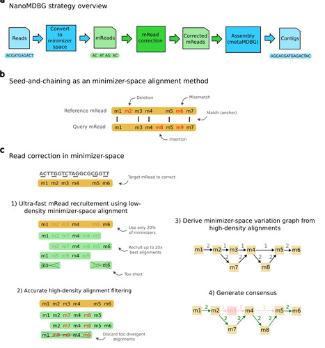 High-quality metagenome assembly from nanopore reads with nanoMDBG | Ncm | RMH | Scoop.it