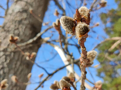 Tervetullut talviloma | 1Uutiset - Lukemisen t&auml;hden | Scoop.it