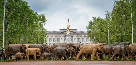 Des troupeaux d’éléphants grandeur nature parcourent les parcs de Londres (vidéo) | Histoires Naturelles | Scoop.it