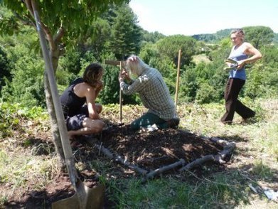 Idée reçue n°3 : La permaculture, c’est une nouvelle méthode de jardinage | Les Colocs du jardin | Scoop.it