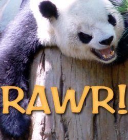 How Google's Panda Update Impacted Squidoo and Hubpages Traffic | Google Penalty World | Scoop.it
