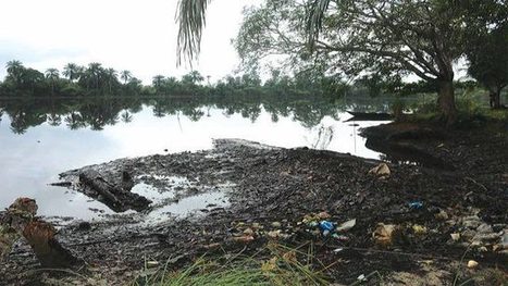 Ogoni group urges re-assessment of spill sites before clean-up / 30.06.2017 | Pollution accidentelle des eaux (+ d&eacute;chets plastiques) | Scoop.it