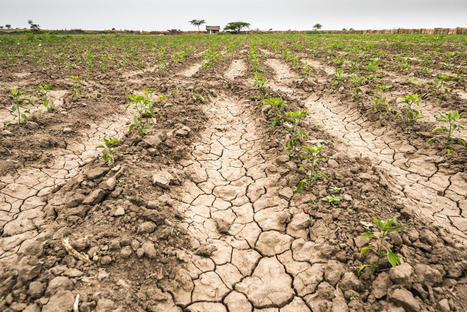 More Than 75% of the World Could Face Drought by 2050, UN Report Warns - EcoWatch.com | Agents of Behemoth | Scoop.it