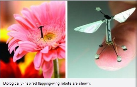 Nature inspires drones of the future | 21st Century Innovative Technologies and Developments as also discoveries, curiosity ( insolite)... | Scoop.it