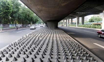 Unkind Architecture: Designing Against the Homeless | ED262 mylineONLINE:  ClassMatters | Scoop.it