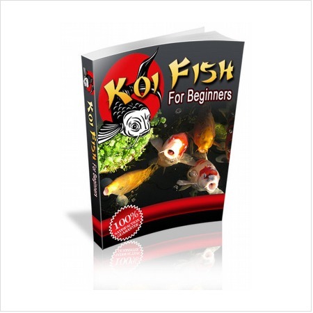Koi Fish For Beginners by Adam Short | E-Books & Books (Pdf Free Download) | Scoop.it