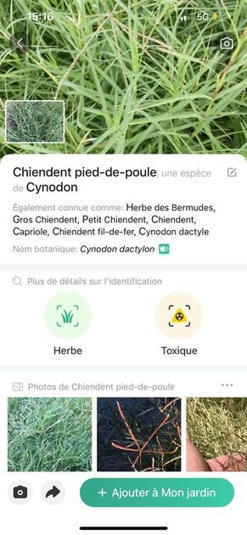 Cinq applications de reconnaissance végétale à l’épreuve de la vigne - Réussir | Pour innover en agriculture | Scoop.it